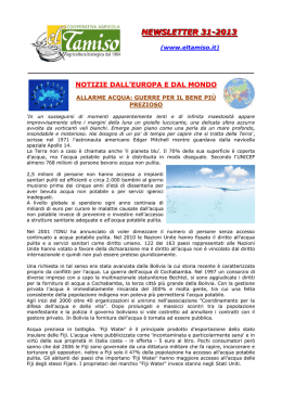 newsletter 31-2013