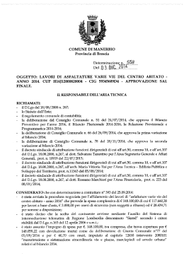 Del : 335 - Manerbio