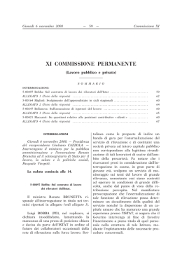 XI Lavoro pubblico e privato