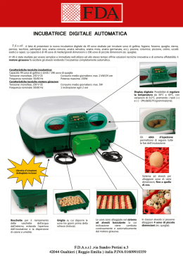 incubatrice eggs et 49 automatica