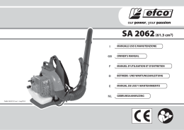 scarica pdf