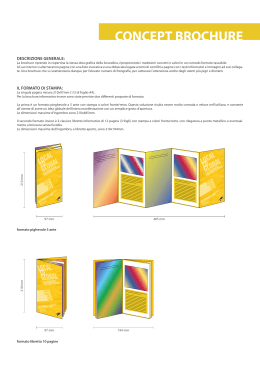 concept brochure