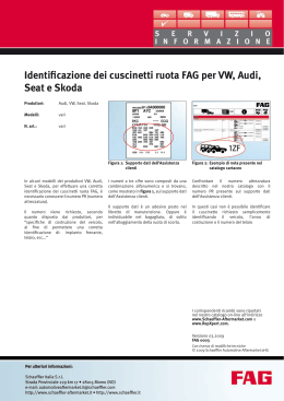 Identificazione dei cuscinetti ruota FAG per VW, Audi, Seat e Skoda