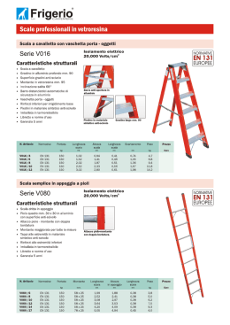 Scale professionali in vetroresina