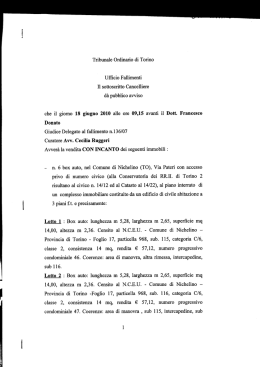 Tribunale Ordinario di Torino Ufﬁcio Fallimenti Il