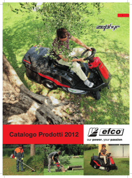 Catalogo Consumer 2012 - Assistenza