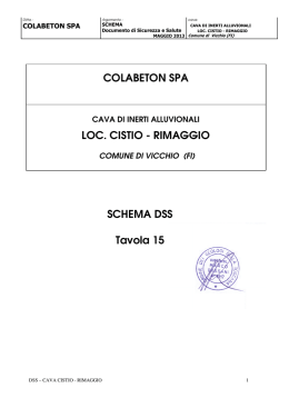 schema di DSS (File pdf - 1614KB)