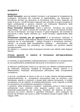 sono gli obiettivi formativi e gli standard di competenza da