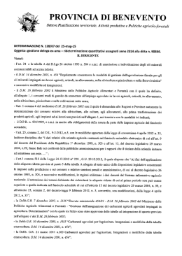 PROVINCIA DI BENEVENTO