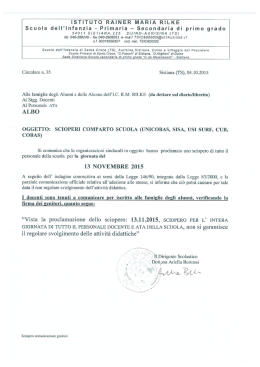 Sciopero del 13 novembre