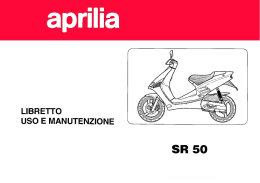 SR 50 Air Cooled 1993 - Team Widia Preparazioni