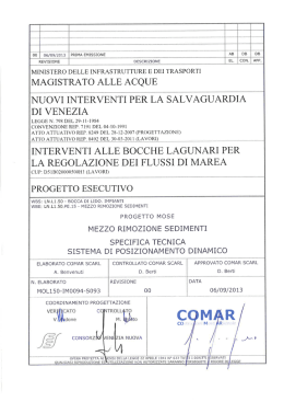 Specifica tecnica sistema di posizionamento dinamico