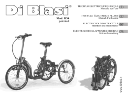 triciclo elettrico pieghevole