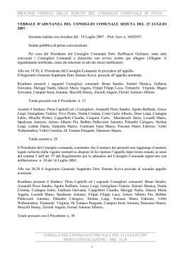 verbale 23 luglio 2007 - Consiglio Comunale