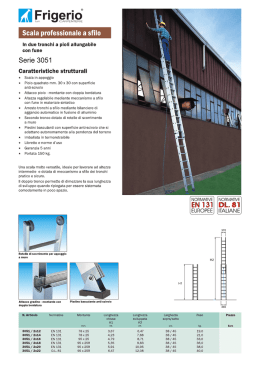 Scheda PDF - CostruireSicuro