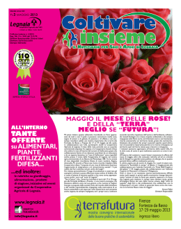 N.3 maggio 2013