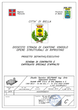 Dissesto strada Cantone Vindolo