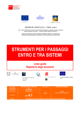 STRUMENTI PER I PASSAGGI ENTRO E TRA SISTEMI Linee guida