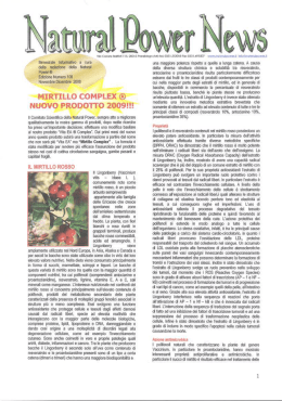 Novembre Dicembre 2008