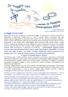 In viaggio con le rondini