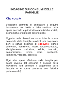INDAGINE SUI CONSUMI DELLE FAMIGLIE Che cosa &egrave;