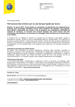 Comunicato stampa in formato pdf