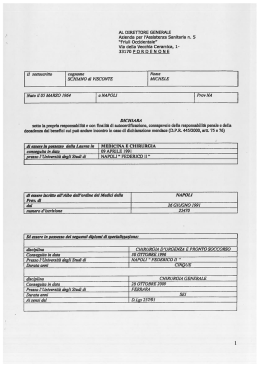 Curriculum dott. Schiano di Visconte [pdf - 1,32 MB]