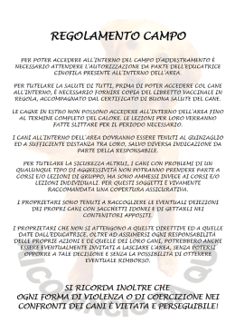 regolamento - Ricomincio da qui