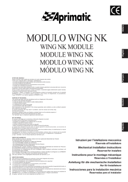 MANUAL MECANICO WING NK