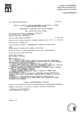 C.C.I.A.A. Chloride - Emerson Network Power