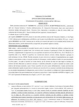 Nella procedura esecutiva N" RE, promossa da patrocinata dall` avv