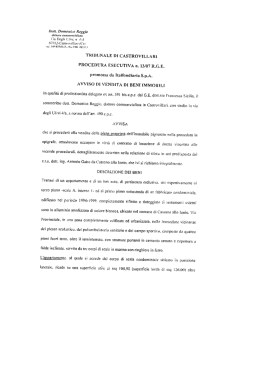 TRIBUNALE DI CASTROVILLARI PROCEDURA ESECUTIVA n. 13