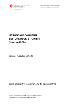 Istruzioni e commenti Settore degli stranieri (Istruzioni LStr)