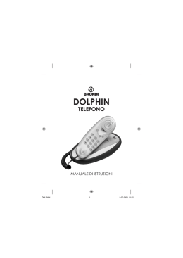 dolphin - Falcon Radio