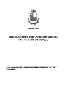 REGOLAMENTO PER L`USO DEI VEICOLI DEL COMUNE DI ROVIGO
