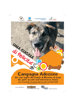 Volantino - Comune di Massa Lombarda