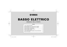 basso elettrico - Strumenti Musicali .net