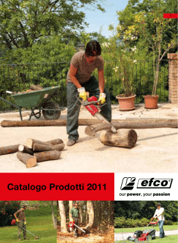 Catalogo Consumer 2011 - Assistenza