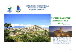 scarica la dichiarazione ambientale del 2010