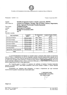 Scarica il Bando Gara