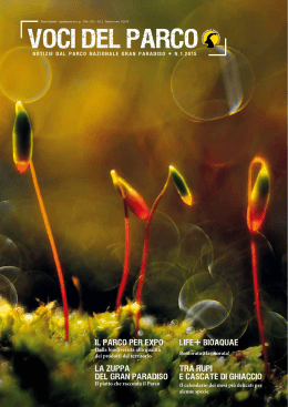 Scarica la rivista in formato pdf