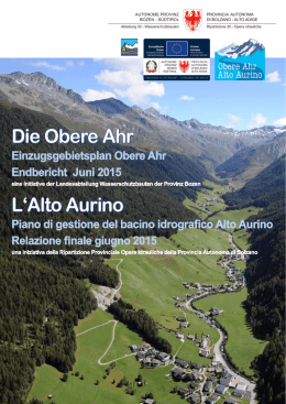 la relazione finale del progetto