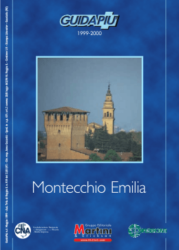 Montecchio Emilia - Noi Cittadini in TV