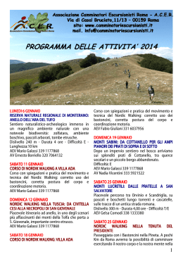 programma delle attivita` 2014