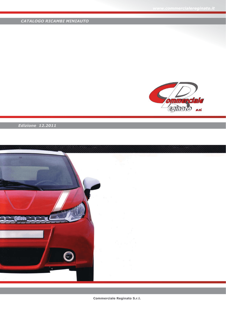 JDM ALOES Ref BD52 2167 CINGHIA TRASMISSIONE 041 LIGIER