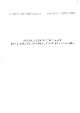 Regolamento comunale per l`esecuzione dei lavori in economia