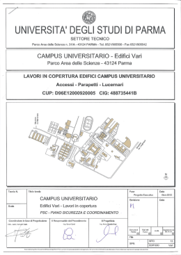 interventi sulle coperture e loro accessi