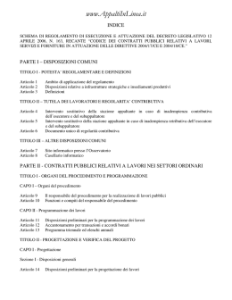 Schema regolamento contratti pubblici 17-11-2008