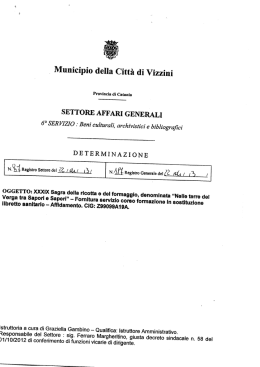 Municipio della Citt&agrave; di Vizzini