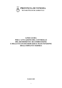 Linee guida per la verifica dello stato di